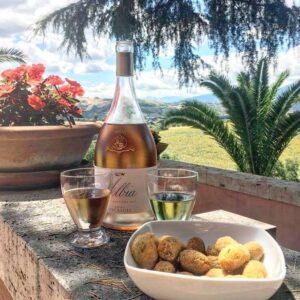 Barone Ricasoli Albia Toscano wine bottle imported in India by Mohan Brotherss LLP, a Solis Group company