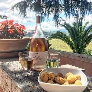 Barone Ricasoli Albia Toscano Rose wine bottle imported in India by Mohan Brotherss LLP, a Solis Group company