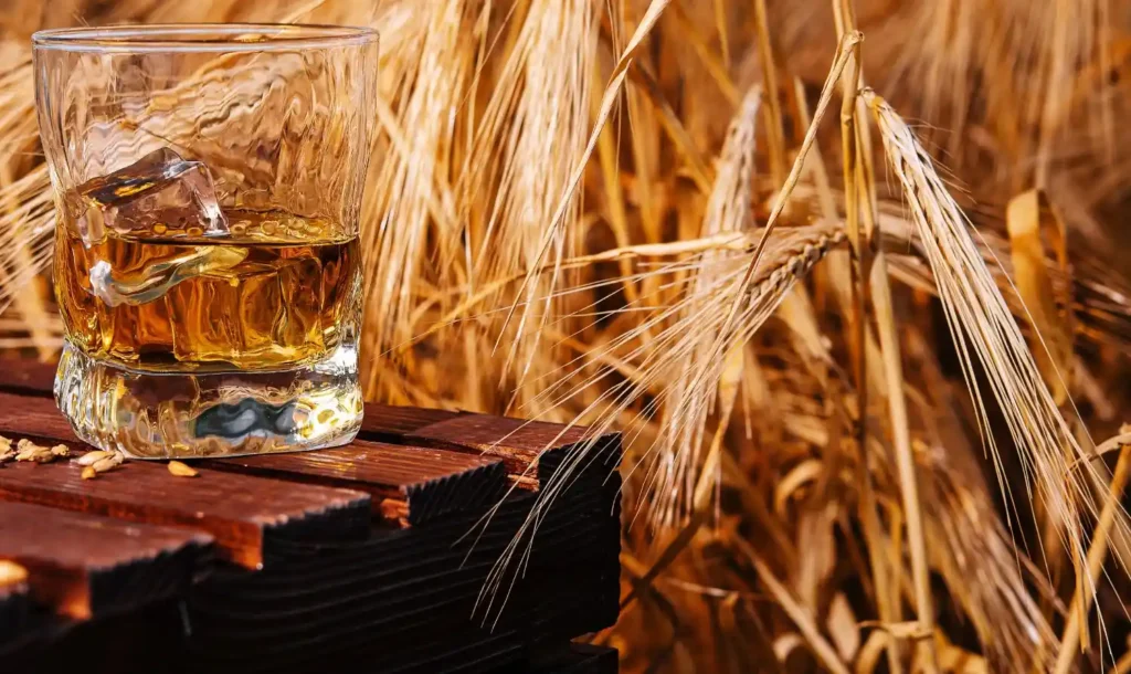 glass-whiskey-in field