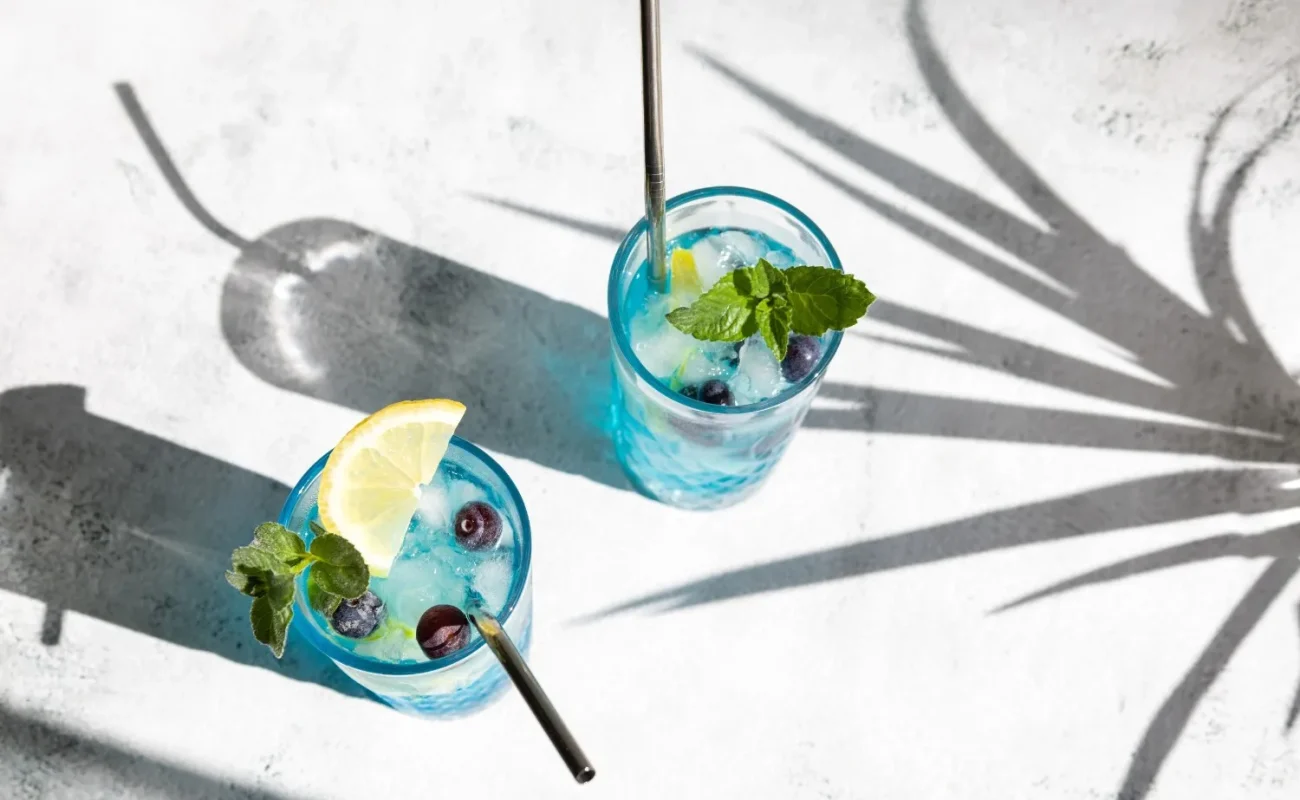 gin-cocktail-with-fresh-blueberries-lemon